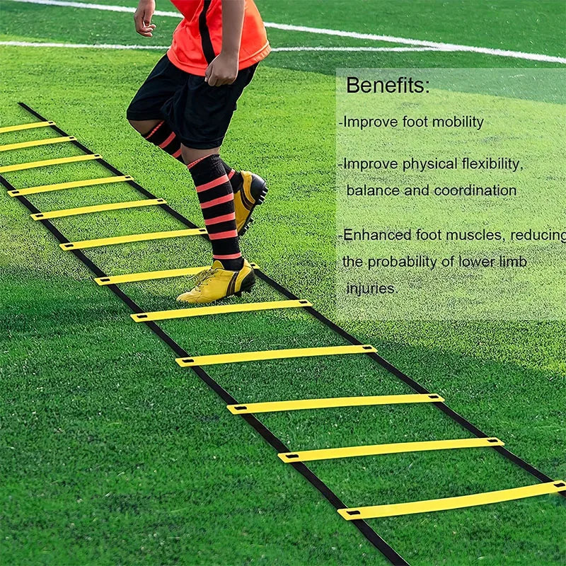 Pro Training Ladder