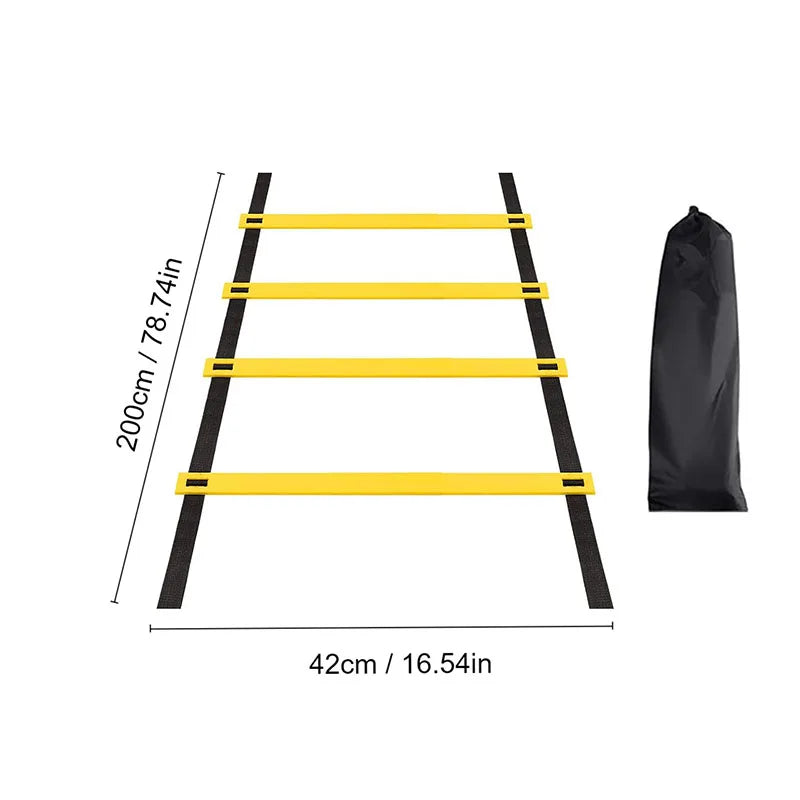 Pro Training Ladder